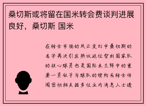 桑切斯或将留在国米转会费谈判进展良好,桑切斯 国米